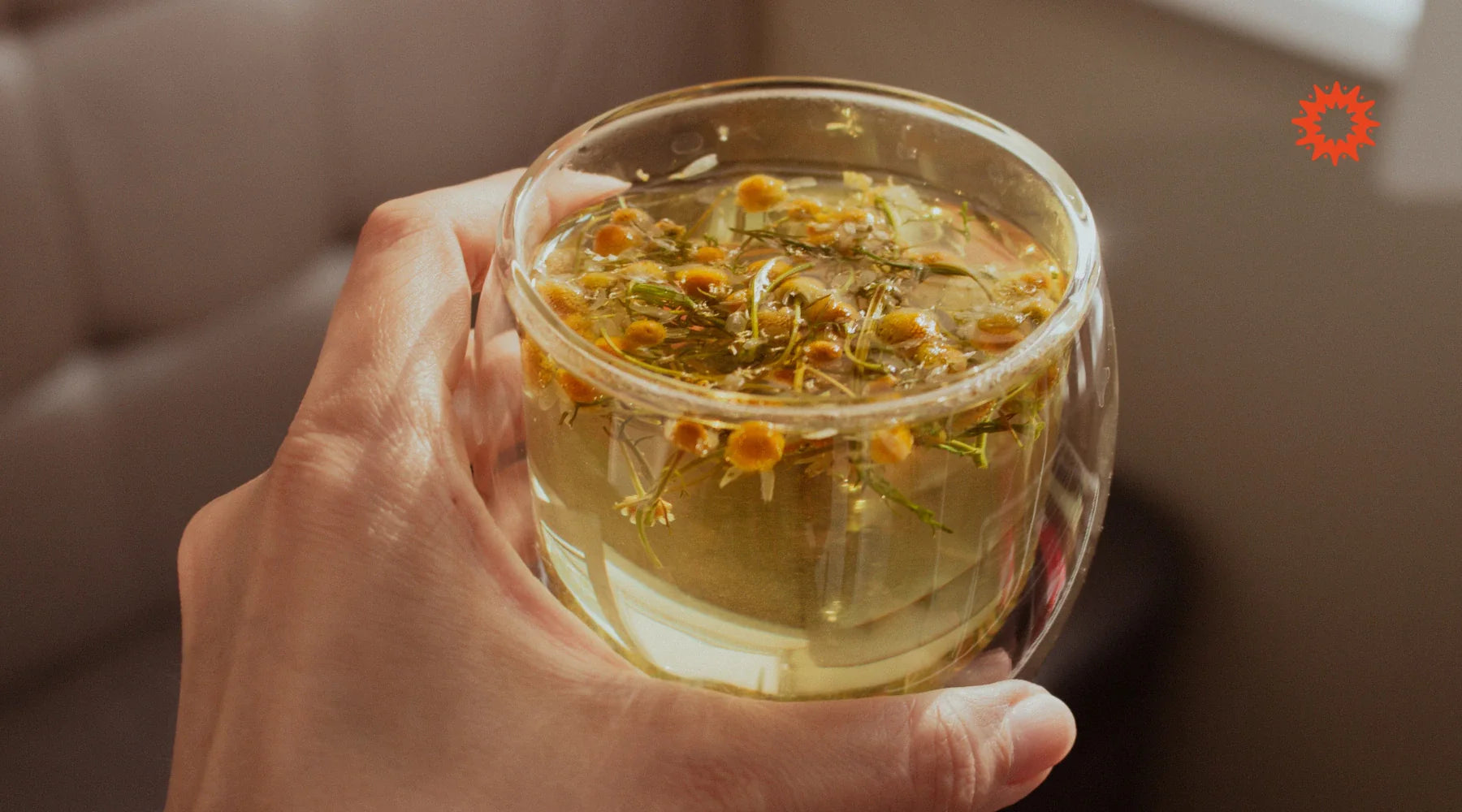 Tisane Camomille : Bienfaits naturels de l'infusion
