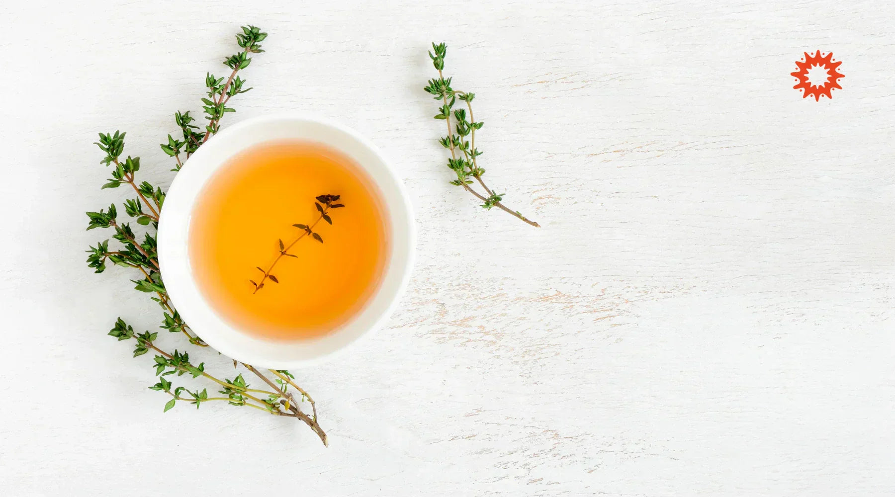 Tisane de Thym : Bienfaits, recettes et précautions pour l'infusion