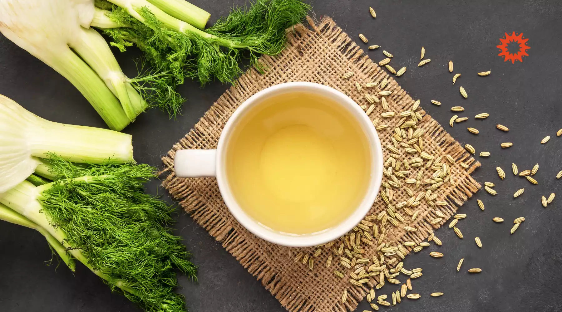 Tisane de Fenouil : Bienfaits et vertus naturels de l'infusion