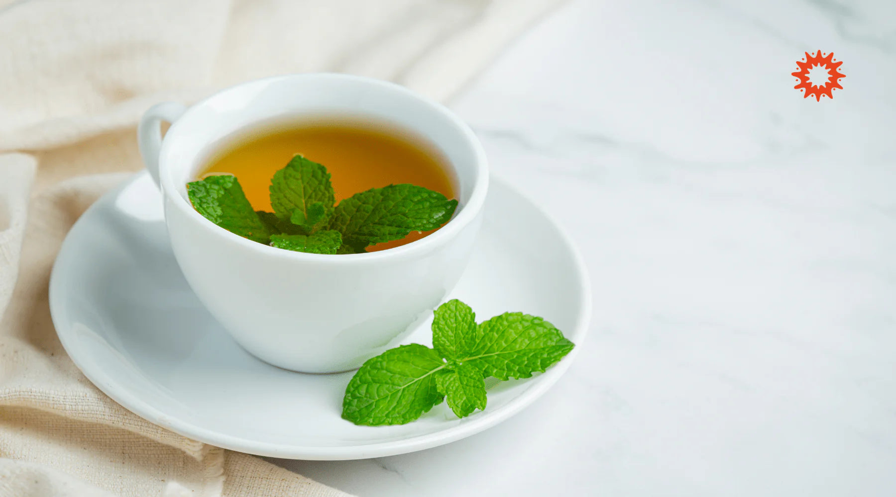 Tisane de Menthe Poivrée : Bienfaits et vertus naturels de l'infusion