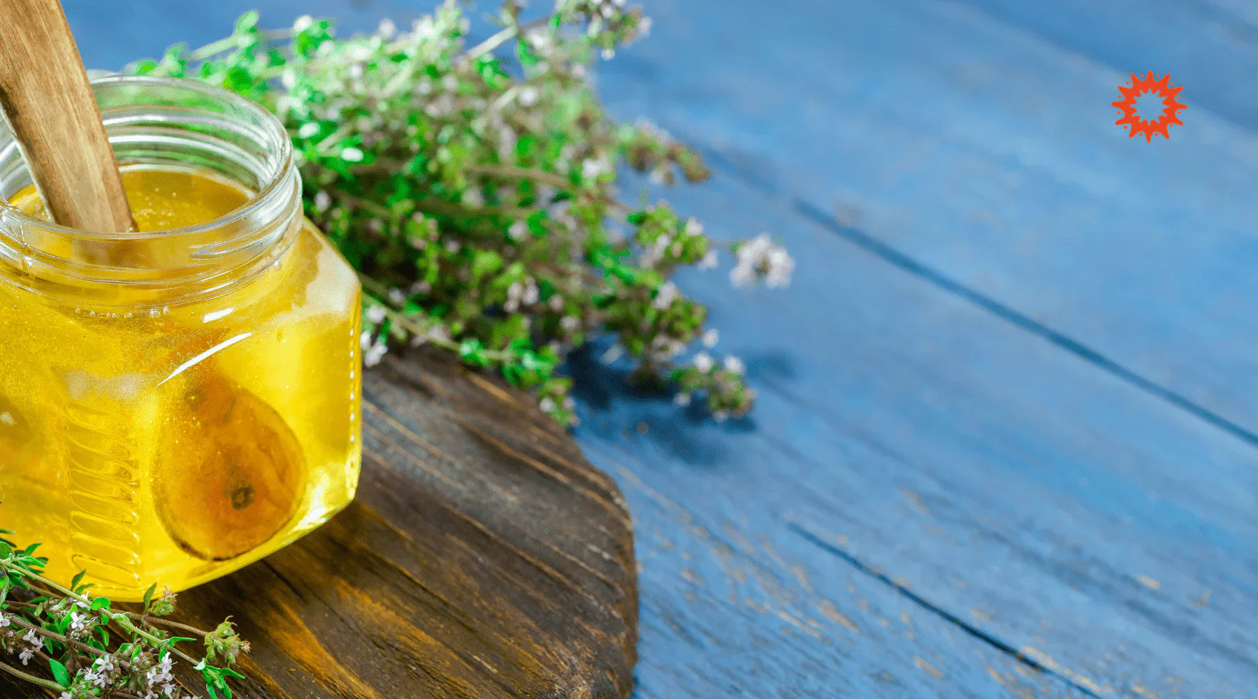 Tisane de Thym et Miel : Bienfaits, vertus naturelles et recettes de l'infusion