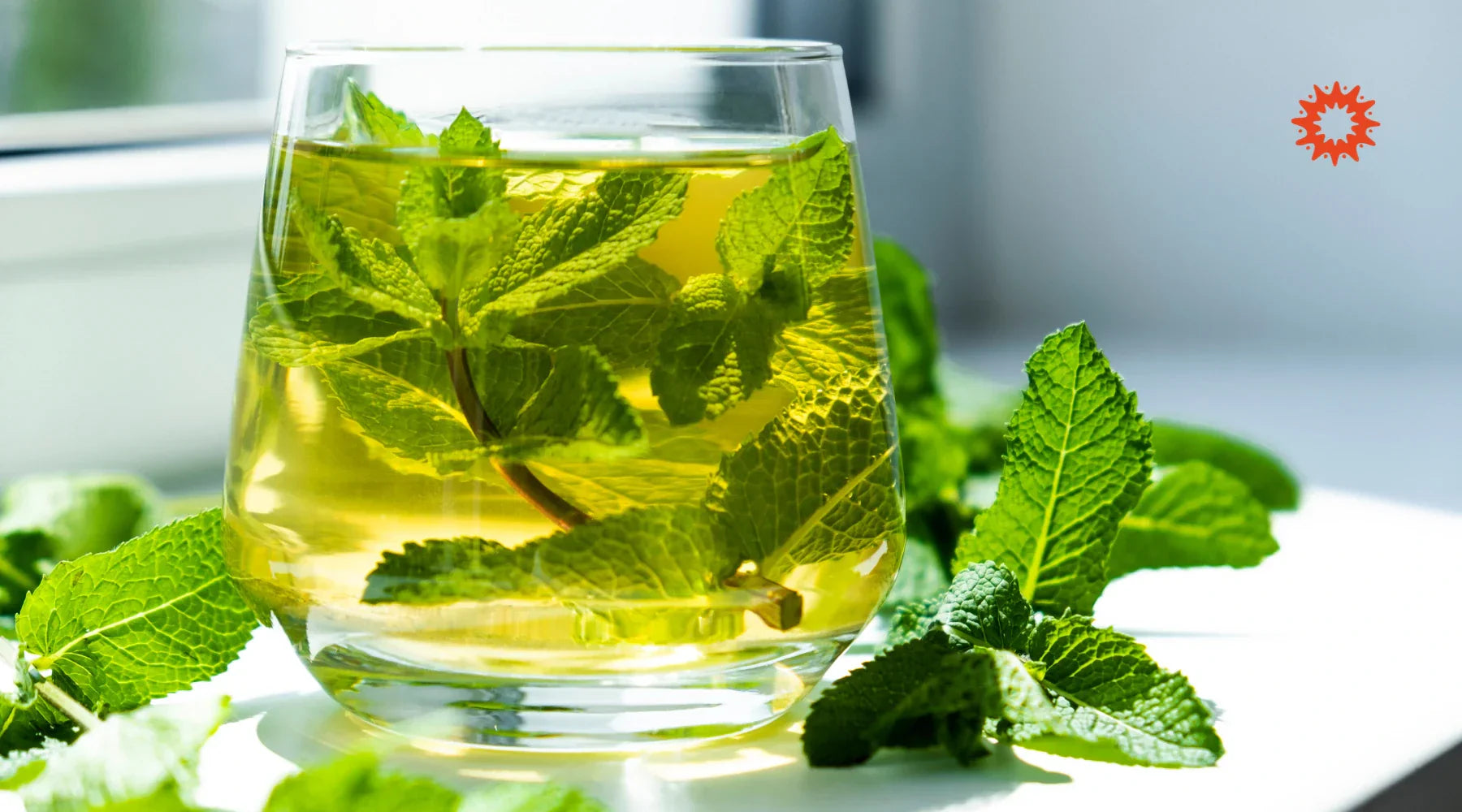 Infusion Menthe : Bienfaits, recettes et astuces