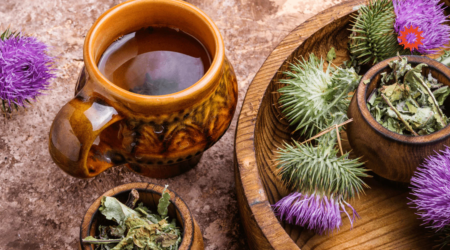 Tisane Chardon Marie : Bienfaits, recettes et effets secondaires