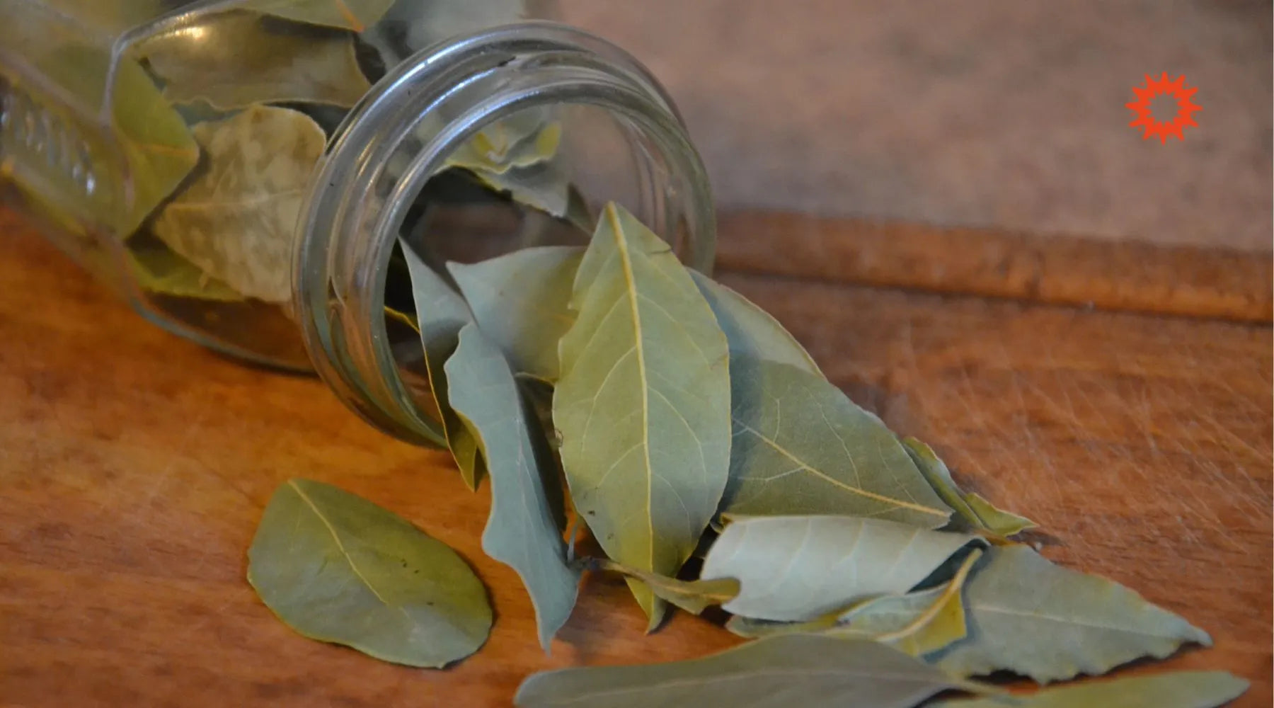Tisane de Laurier : Effets secondaires, dangers et contre-indications
