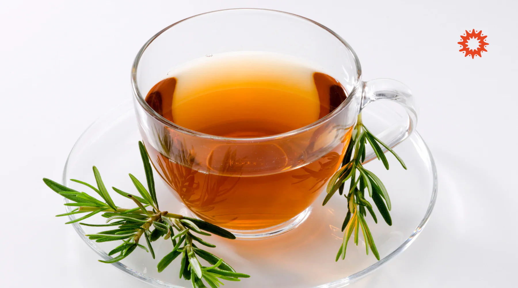 Tisane Romarin : Bienfaits et vertus naturels de l'infusion