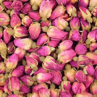 Boutons de rose
