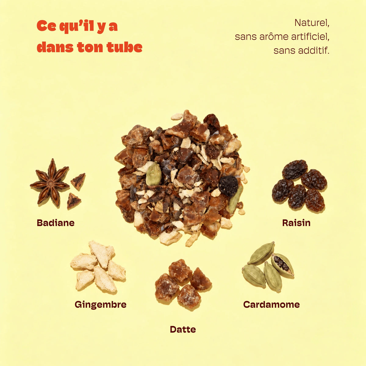 TISANE SYSTÈME IMMUNITAIRE