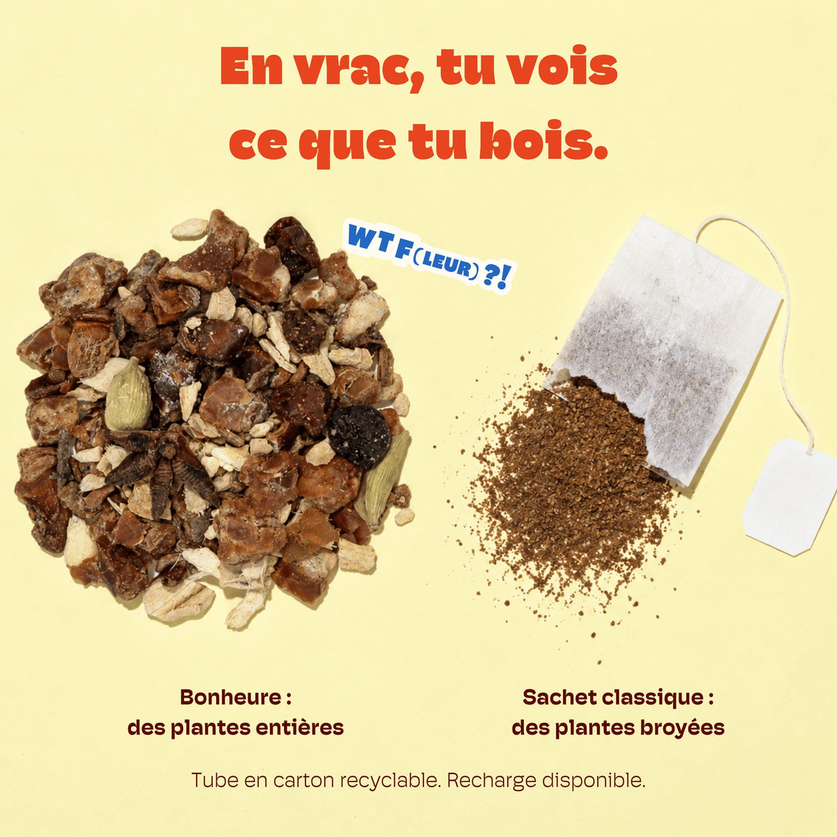 TISANE SYSTÈME IMMUNITAIRE