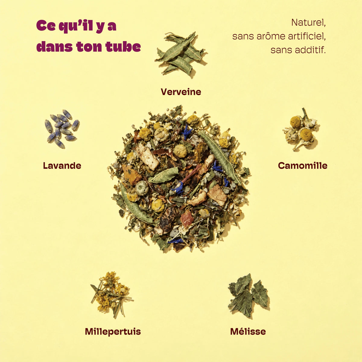 TISANE SOMMEIL